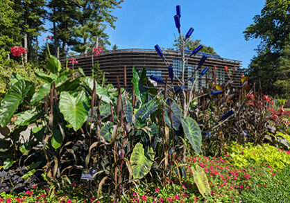 plants in front of the Nevin Welcome Center