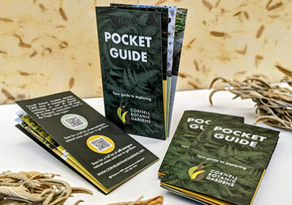 image of Pocket Guide